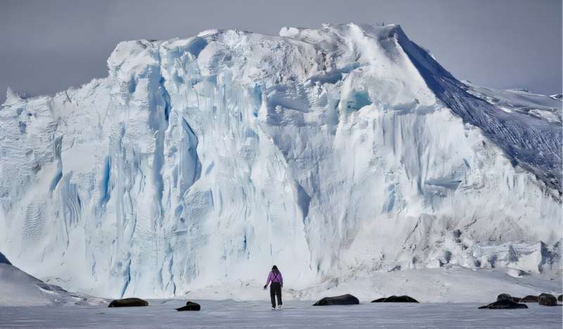 Shero surveying a Weddell seal colony in McMurdo Sound, Antarctica. Credit: Shawn Johnson, under permits: NMFS 23273 Studying how seals adapt to extreme environments could lead to benefits in human reproductive health