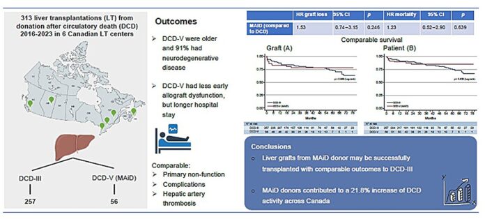 Liver-transplantation-utilizing-grafts-donated-after-euthanasia-is-feasible-study.jpg