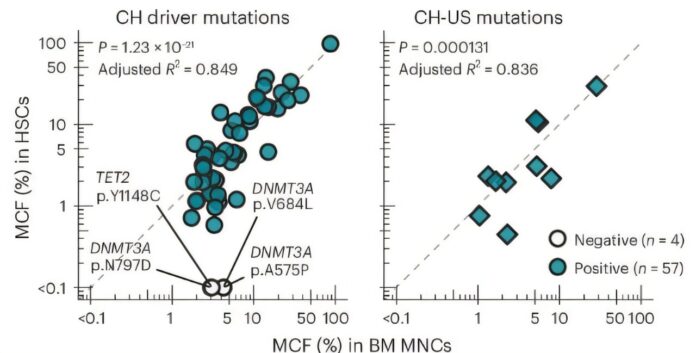 Surprising-blood-stem-cell-diversification-revealed-in-humans.jpg